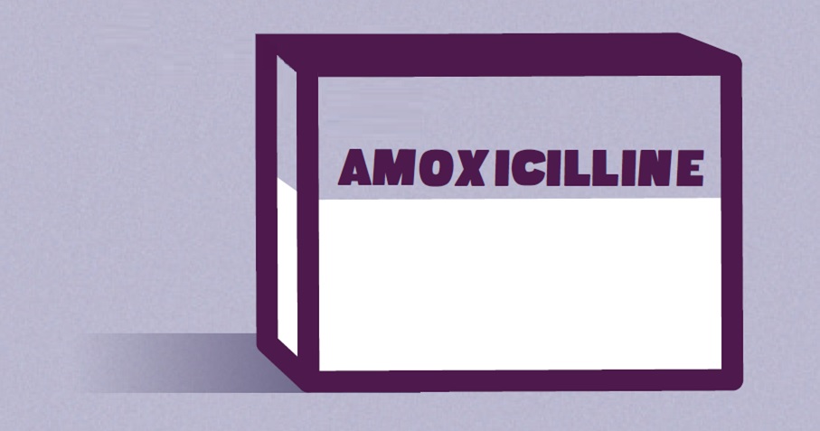 Vocation 22 - AMOXICILLINE