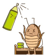 insecticides traditionnels contre les poux