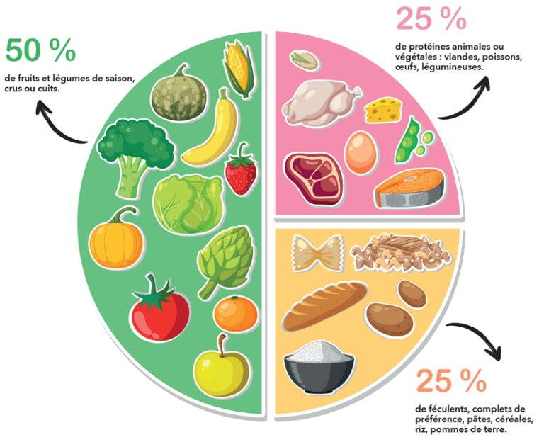 portions-menus-assiette-id-ale-comment-manger-r-ellement-quilibr