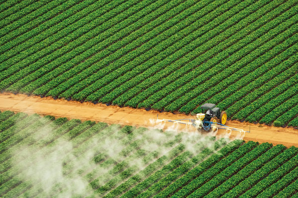 Cancer et pesticides que dit la science ?