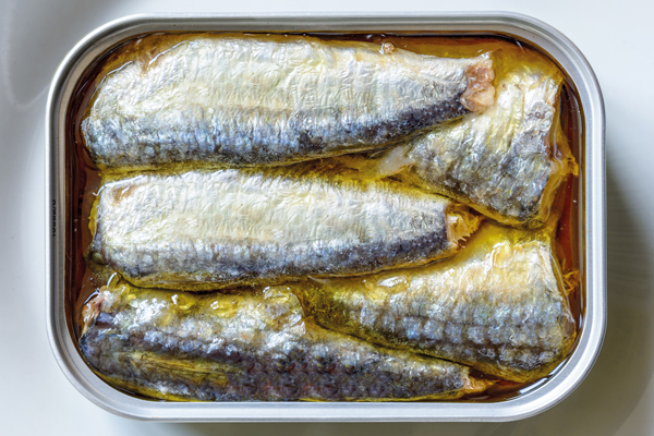 nutrition sardine